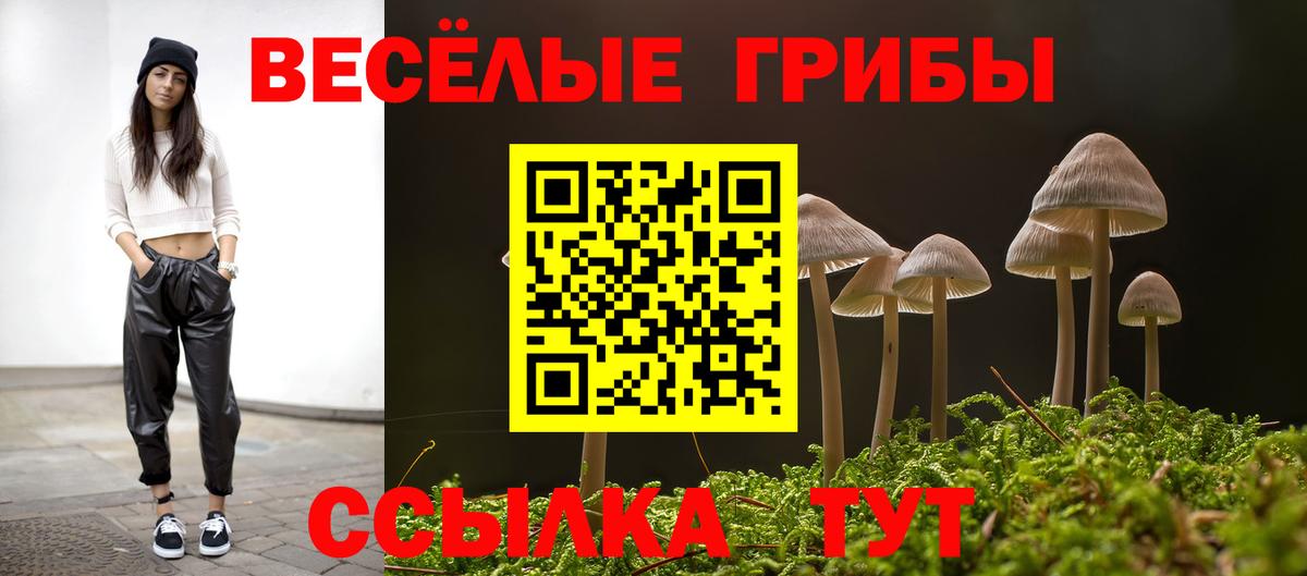 Красноярск  Галлюциногенные грибы Psilocybine cubensis  Псилоцибиновые грибы мицелий  Вход с VPN 